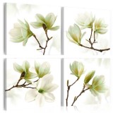 Cumpara ieftin Tablou - Admiration of Magnolia 90x90 cm