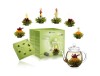 Set cadou ceai infloritor Creano cu ceainic sticla 500 ml, 6 sortimente ceai verde fructat