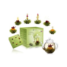 Set cadou ceai infloritor Creano cu ceainic sticla 500 ml, 6 sortimente ceai verde fructat