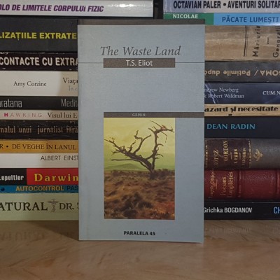 T.S. ELLIOT - THE WASTE LAND ( EDITIE BILINGVA ) , 2004 * foto