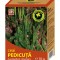 CEAI PEDICUTA 70gr HYPERICUM