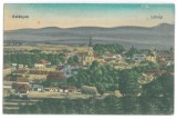 958 - BEIUS, Bihor, Panorama, Romania - old postcard - used - 1918, Circulata, Printata