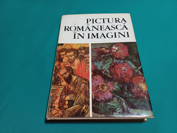 PICTURA ROM&Acirc;NEASCĂ &Icirc;N IMAGINI / VASILE DRĂGUT, VASILE FLOREA / 1970 * 13