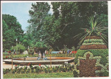 Carte Postala veche -Buzias, Jud. Timis - Vedere din parc 1988, necirculata