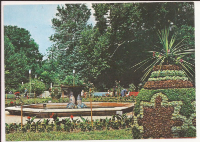 Carte Postala veche -Buzias, Jud. Timis - Vedere din parc 1988, necirculata foto