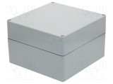 Carcasă universală RAYCHEM RPG 250mm x 255mm x 160mm poliester gri