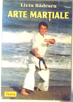 ARTE MARTIALE de LIVIU BADESCU , 1998 foto