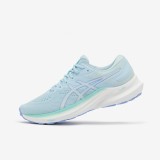 &Icirc;ncălțăminte de alergare Asics Gel Roadmiles 2 Albastru-Turcoaz, Damă