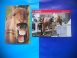 HOPCT LOT NR 455 MAGAR/MAGARI -FAUNA-2 CARTI POSTALE-NECIRCULATE