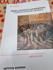 Mediul penitenciar romanesc. Cultura si civilizatie carcerala - Bruno Stefan foto