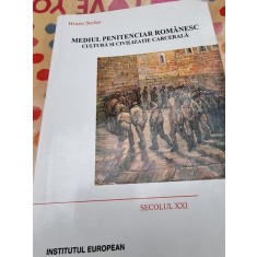 Mediul penitenciar romanesc. Cultura si civilizatie carcerală - Bruno Stefan