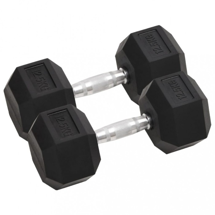 vidaXL Gantere, 2 buc., 25 kg, total fontă