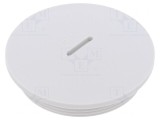 Capac de protecţie PG42 IP54 poliamidă gri