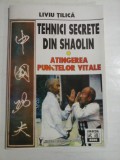 Tehnici Secrete din Shaolin - Liviu Tilica, Garell Publishing House, Spiritualitate si Ezoterism