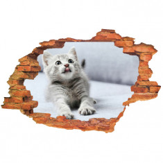 Sticker &amp;quot;Wall Crack&amp;quot; Cat 5 - 120 x 80 cm foto