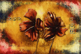 Tablou canvas Flori, vintage, abstract, arta26, 60 x 40 cm