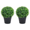 VidaXL Plante artificiale cimișir cu ghiveci, 2 buc. verde 37 cm minge 336518