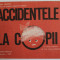 ACCIDENTELE LA COPII de DOINA LUPULESCU si VALERIU GHICEANU , PLIANT DE INFORMARE , 1989