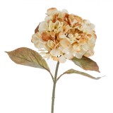 Floare Artificială, Hortensie, Tulpină Lungă, Culoare Bej Roz, &Icirc;nălțime 66cm, Oem