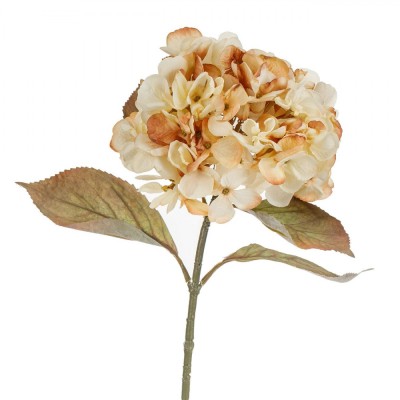 Floare Artificială, Hortensie, Tulpină Lungă, Culoare Bej Roz, &amp;Icirc;nălțime 66cm foto