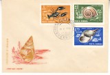 C12 - FDC Romania - Crustacee - LP639 - 1966