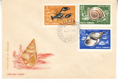 C12 - FDC Romania - Crustacee - LP639 - 1966 foto