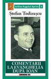 Comentarii la Evanghelia dupa Ioan - Stefan Todirascu