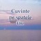 Cuvinte pe spatele tău (cu dedicație) - 2013 - Ilinca Ioana Rusu (S54)