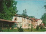 CPI B 11499 CARTE POSTALA - VEDERE DIN BUZIAS