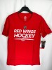 Detroit Red Wings tricou de copii Apro Wordmark Ss Ctn Tee - Dětsk&eacute; M (10 - 12 let)