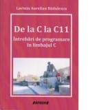 De la C la C11. Intrebari de programare in limbajul C - Lavinia Aurelian Badulescu
