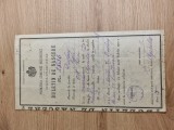 Buletin de nastere Bucuresti 1903 / Bucuresci