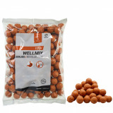 Boilies Pescuit la Crap Wellmix 20mm 1kg Monster Crab, Caperlan