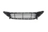 Grila Centrala bara fata HYUNDAI ELANTRA (MD/UD), 08.2010-05.2016,negru