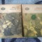 w3 Jokai Mor - Omul de aur (2 vol.)