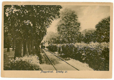 2184 - ORADEA, Tramway, Park - old postcard - unused foto