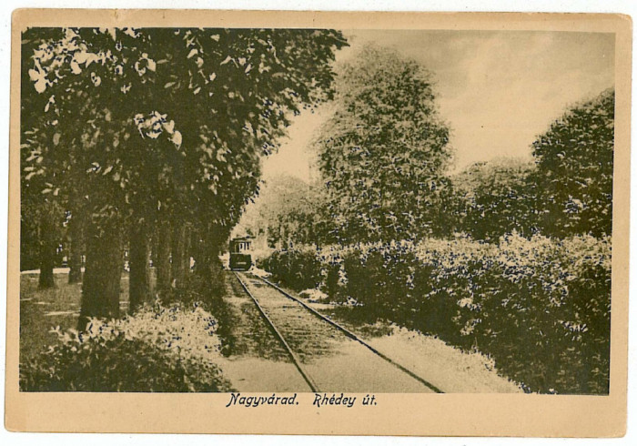 2184 - ORADEA, Tramway, Park - old postcard - unused