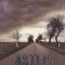 Dan Chaon - Astept raspuns