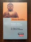 Miguel Farias - Pilula Buddha. Meditatie, yoga si schimbare personala