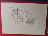 Desen penita ,Tia Peltz , Doi Amorezi ,