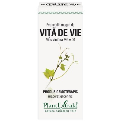 Extract Muguri Vita de Vie 50ml PlantExtrakt foto