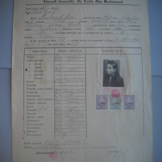 HOPCT DOCUMENT VECHI NR 423 STEINBERG EVA -EVREULICEUL DE FETE BOTOSANI 1949