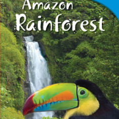 Amazon Rainforest