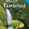 Amazon Rainforest