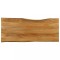 vidaXL Blat masă cu margini, 140x60x3,8 cm, lemn masiv mango 370793