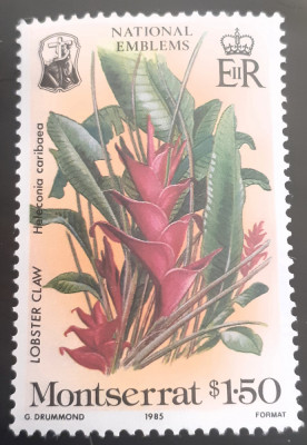 Montserrat 1985 flori, flora, plante, emblema nationala 1v. Mnh foto