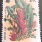 Montserrat 1985 flori, flora, plante, emblema nationala 1v. Mnh