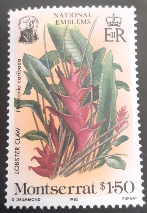 Montserrat 1985 flori, flora, plante, emblema nationala 1v. Mnh