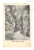 CP Defileul Bistrita - Valcea (Cheile Bistritei - Valcea), interbelica, circulata, Printata