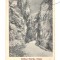 CP Defileul Bistrita - Valcea (Cheile Bistritei - Valcea), interbelica, circulata